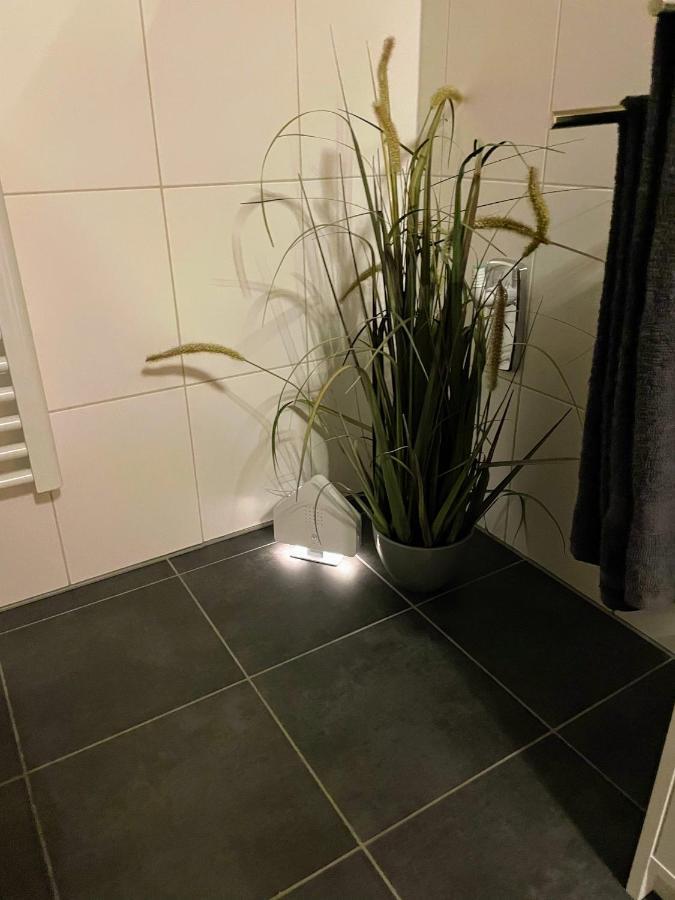 באלנשטאדט Apartment Zur Wiege Anhalts מראה חיצוני תמונה